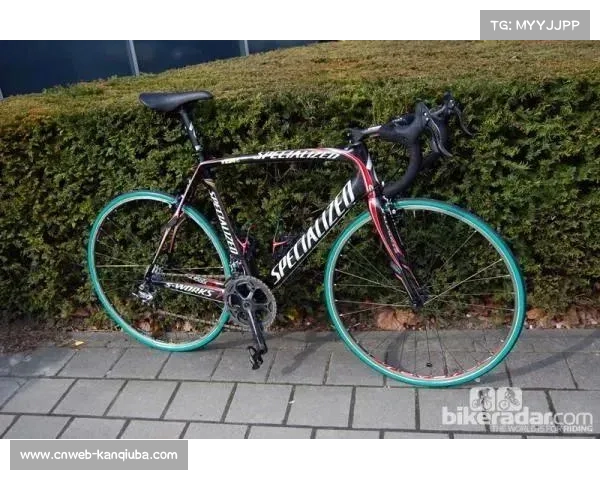 巴黎-鲁贝冠军多出自当年表现强势车队，团队作用显著